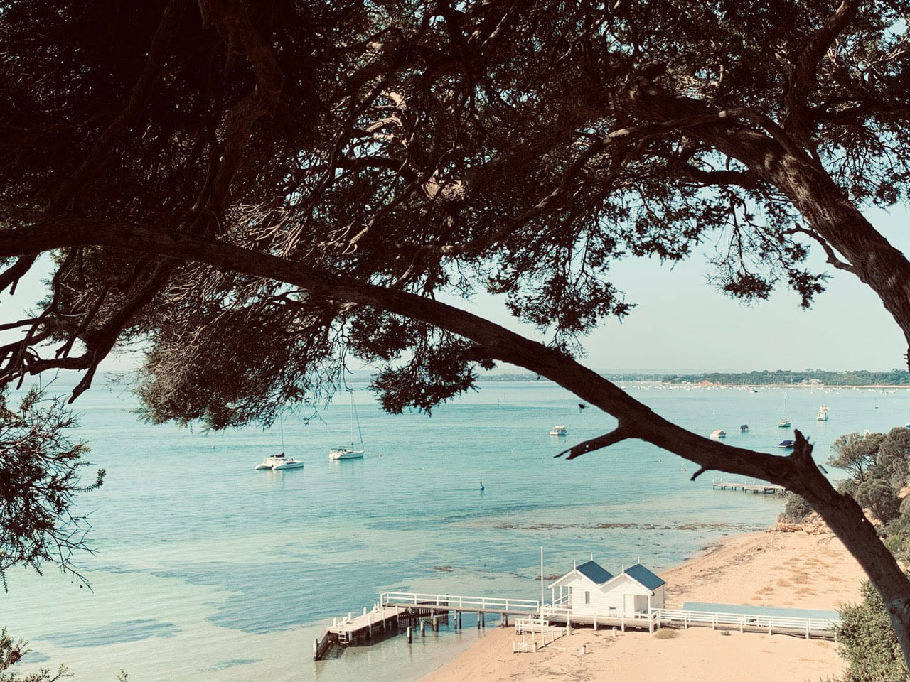 The Mornington Peninsula coastline
