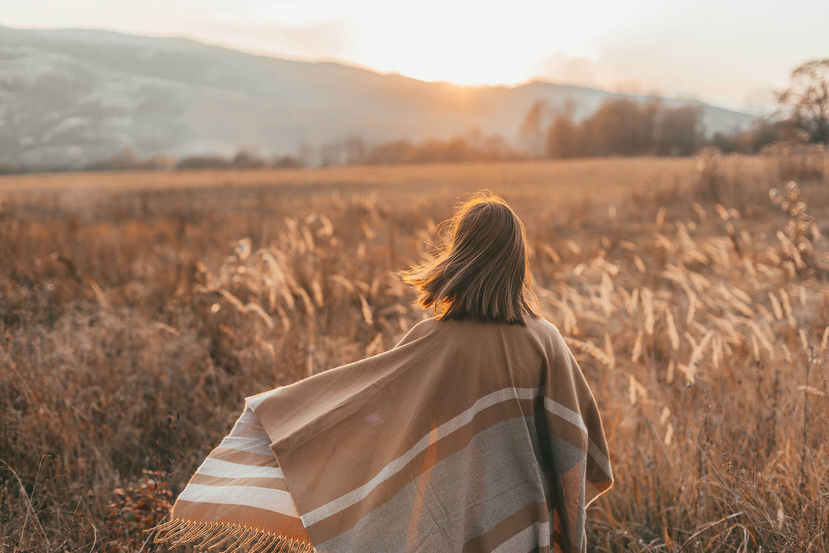 A host looking across a sunlit landscape